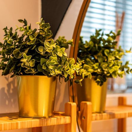 Stadsappartement Franeker 11 외부 사진